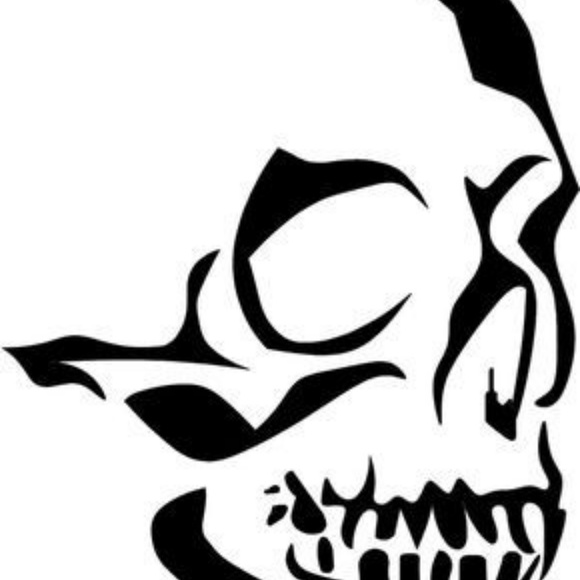 DECALS - Picture 5 of 7